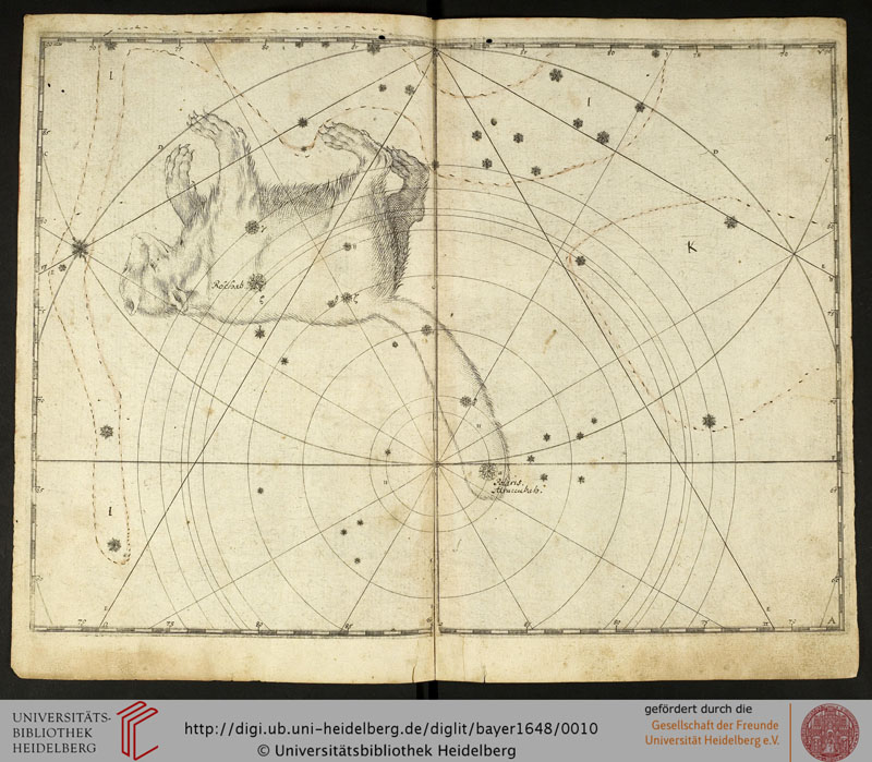 Малая Медведица в «Уранометрии»