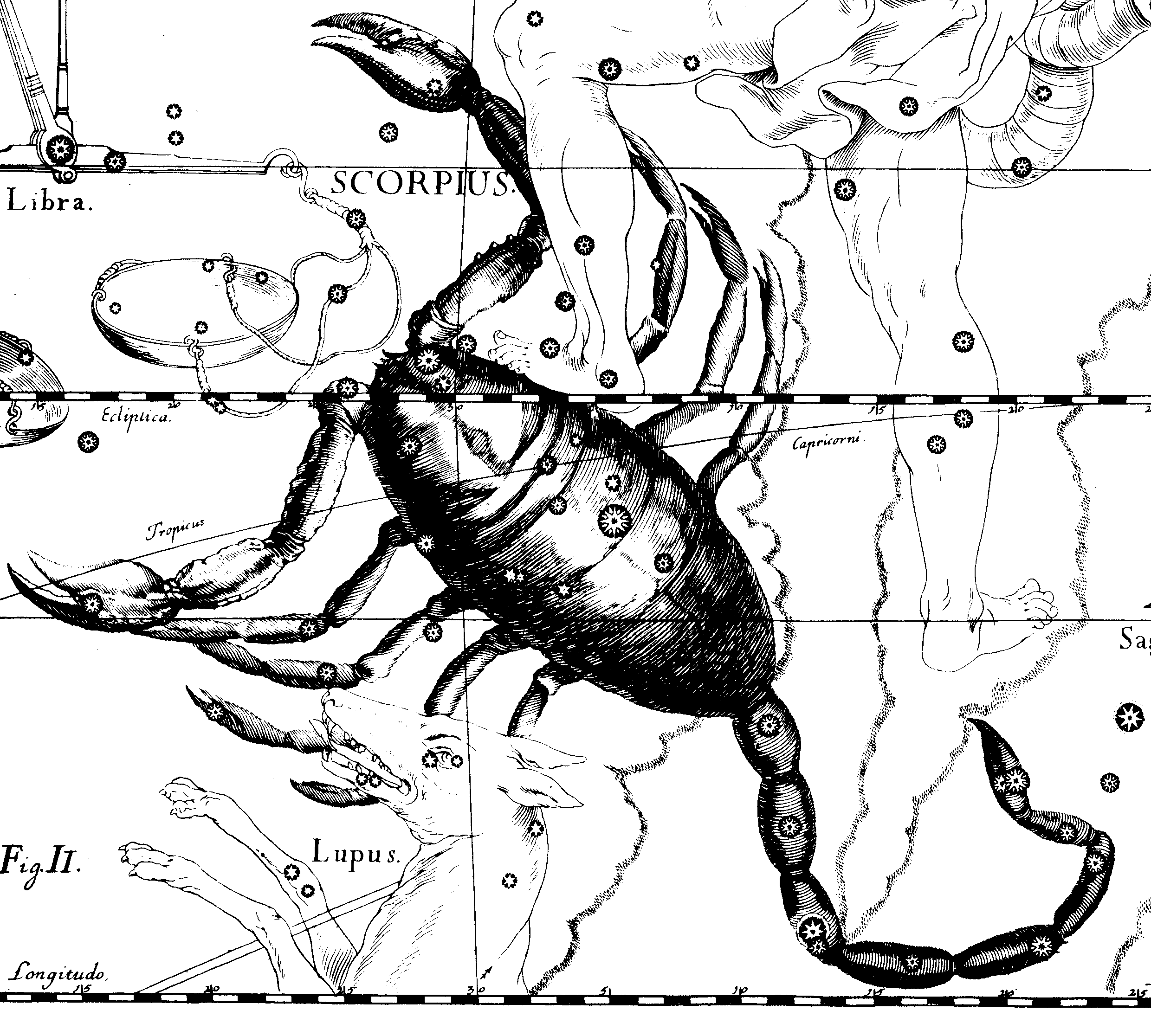 Созвездие скорпиона атлас
